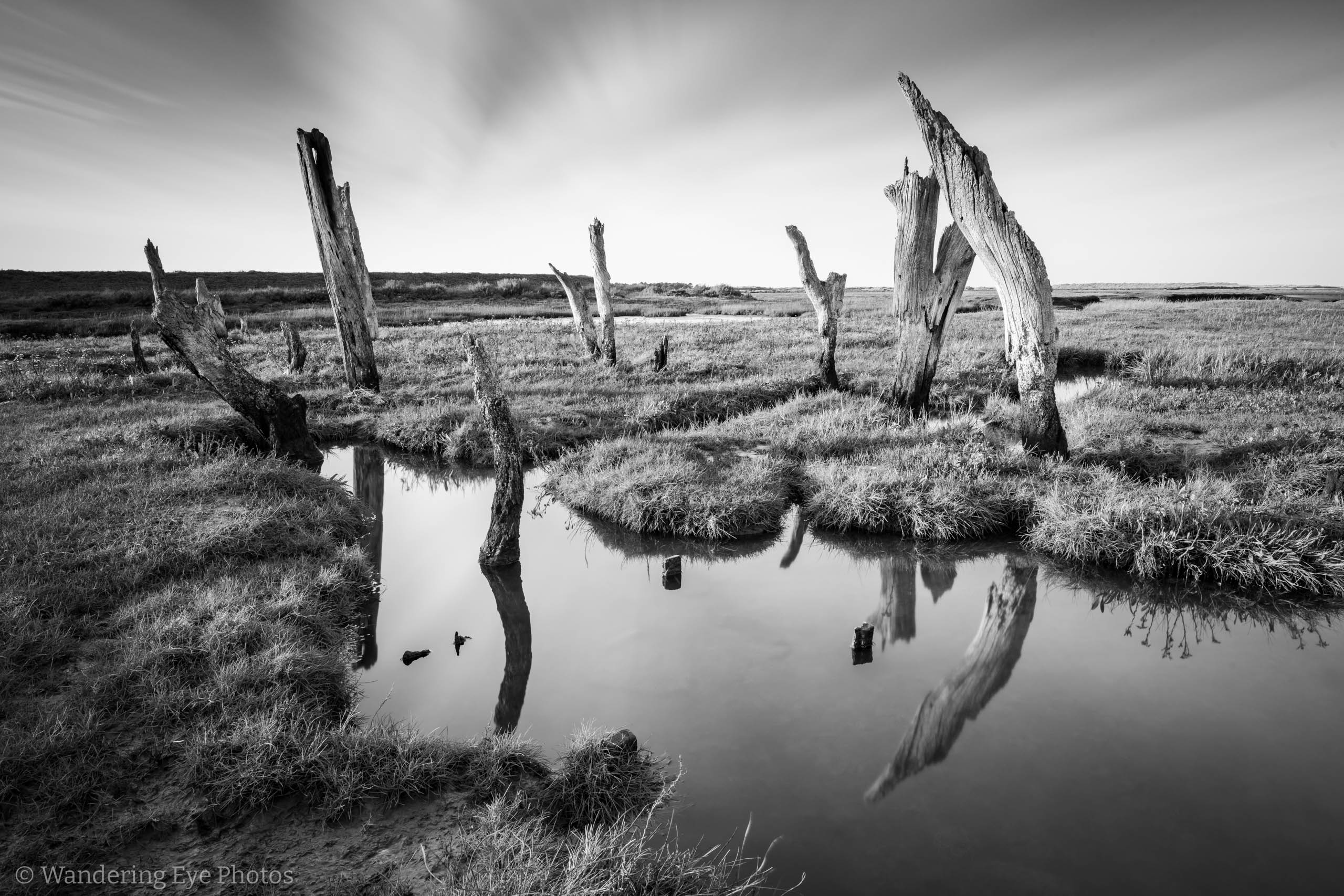 11.17 15.33.46   DSC00603